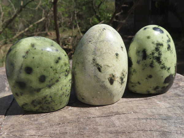 Polished Green Leopard Stone Standing Free Forms  x 12 From Nyanga & Shamva, Zimbabwe