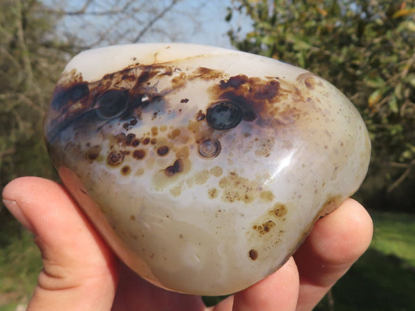 Polished Semi Polished Dendritic Agate Free Forms  x 4 From Madagascar - TopRock