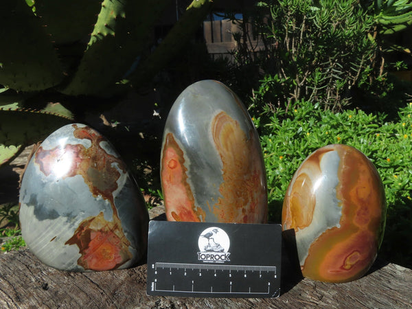 Polished Polychrome Jasper Standing Free Forms x 3 From Madagascar - TopRock