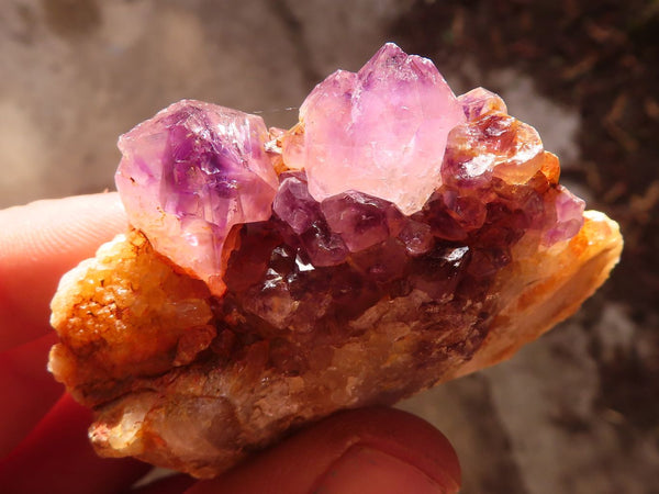 Natural Mixed Spirit Quartz Clusters x 24 From Boekenhouthoek, South Africa - Toprock Gemstones and Minerals 