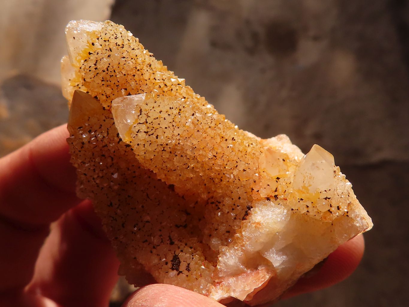 Natural Mixed Spirit Quartz Clusters x 24 From Boekenhouthoek, South Africa - Toprock Gemstones and Minerals 
