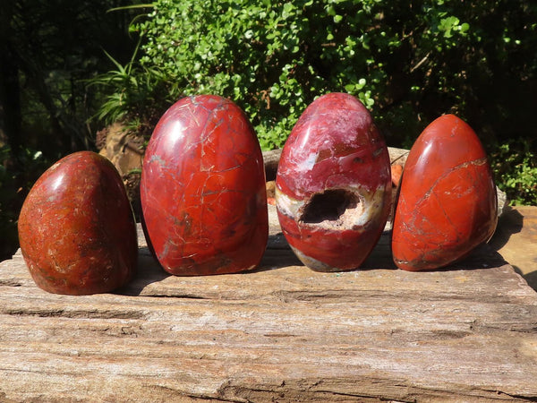 Polished Red Jasper Standing Free Forms  x 4 From Madagascar - Toprock Gemstones and Minerals 