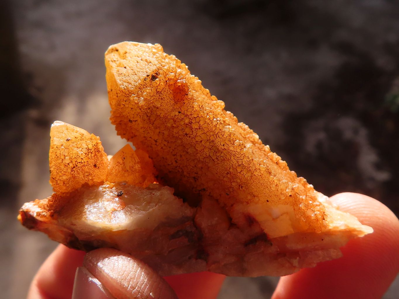 Natural Mixed Spirit Quartz Clusters x 24 From Boekenhouthoek, South Africa - Toprock Gemstones and Minerals 
