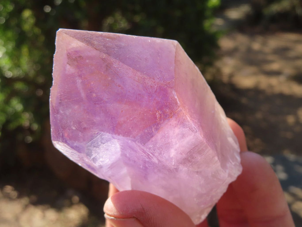 Natural Single Jacaranda Amethyst Crystals x 12 From Mumbwe, Zambia - Toprock Gemstones and Minerals 