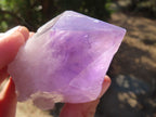 Natural Single Jacaranda Amethyst Crystals x 12 From Mumbwe, Zambia - Toprock Gemstones and Minerals 