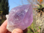 Natural Single Jacaranda Amethyst Crystals x 12 From Mumbwe, Zambia - Toprock Gemstones and Minerals 