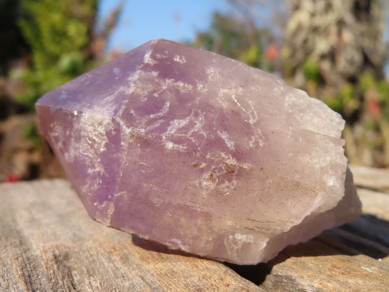 Natural Single Jacaranda Amethyst Crystals x 12 From Mumbwe, Zambia - Toprock Gemstones and Minerals 