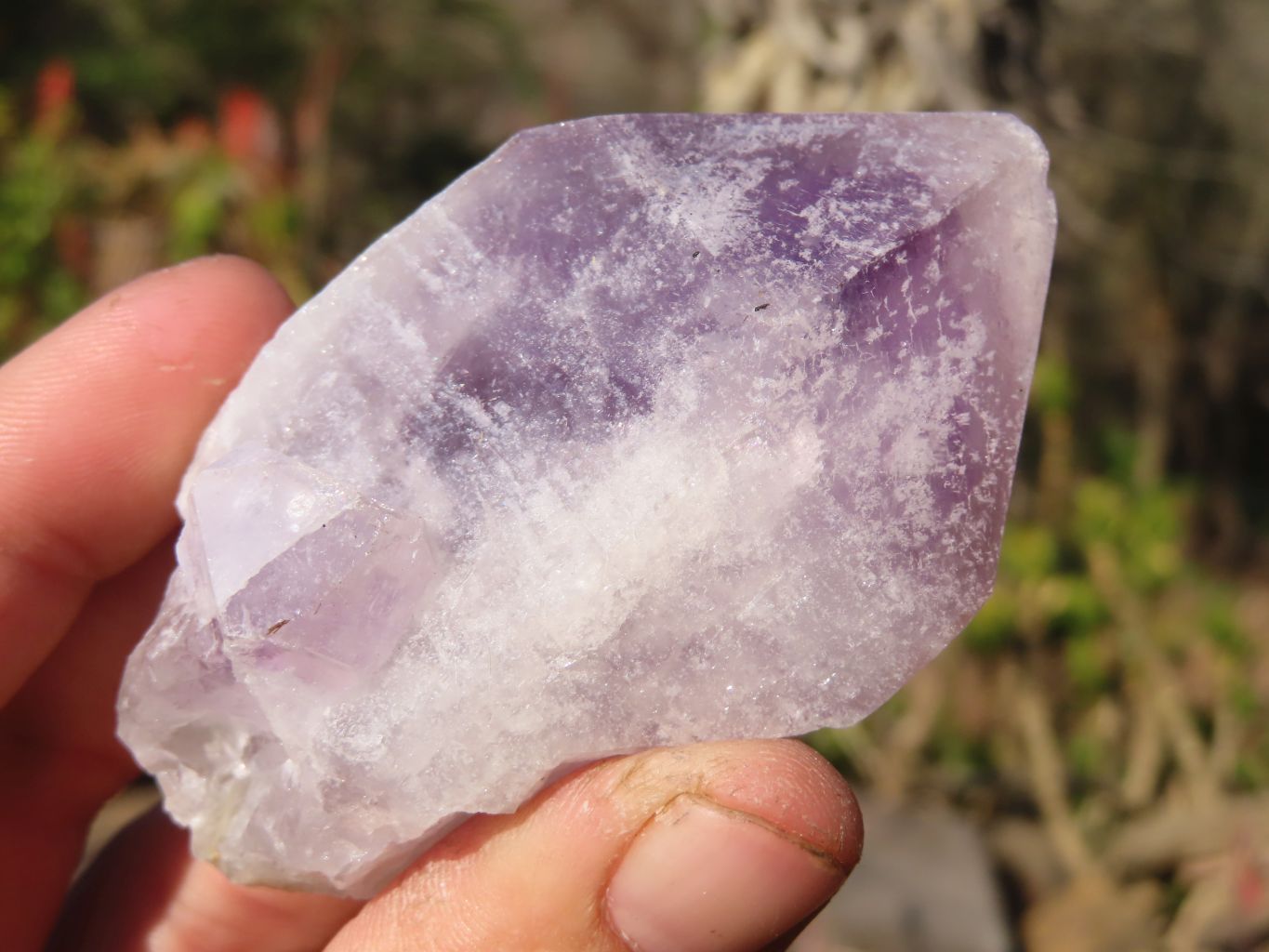 Natural Single Jacaranda Amethyst Crystals x 12 From Mumbwe, Zambia - Toprock Gemstones and Minerals 