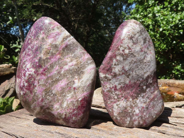 Polished Pink Rubellite Tourmaline In Schist Standing Free Forms  x 2 From Madagascar - TopRock