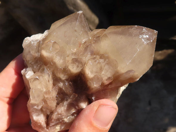 Natural Smokey Phantom Quartz Clusters  x 6 From Luena, Congo - Toprock Gemstones and Minerals 