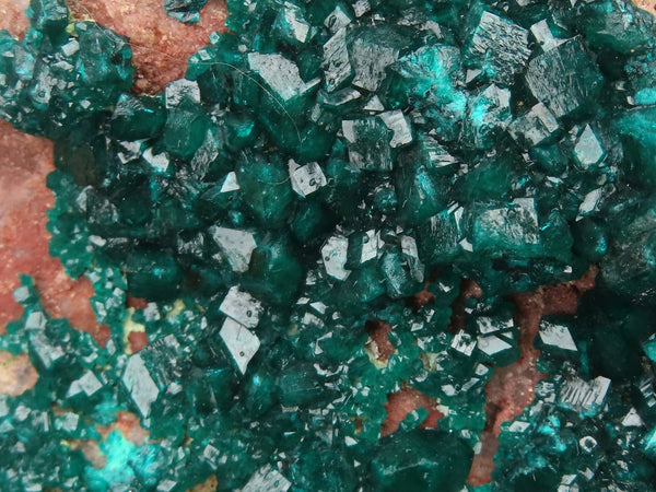 Natural Extra Large Classic Dioptase Specimen With Deep Emerald Crystals x 1 From Congo - TopRock