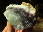 Natural Cobbed Watermelon Fluorite Specimens  x 12 From Uis, Namibia - Toprock Gemstones and Minerals 