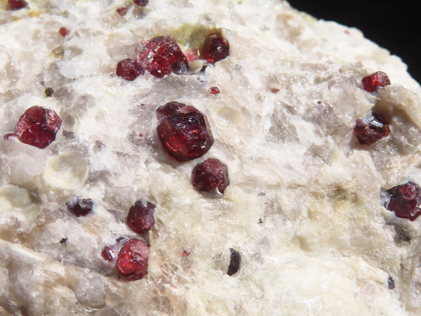 Natural Pyrope Red Garnet Crystals In Matrix Specimens  x 12 From Karibib, Namibia - Toprock Gemstones and Minerals 