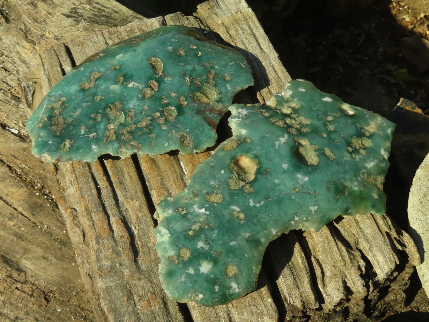 Polished One Side Polished Emerald Mtorolite Plates  x 2 From Mutorashanga, Zimbabwe - Toprock Gemstones and Minerals 