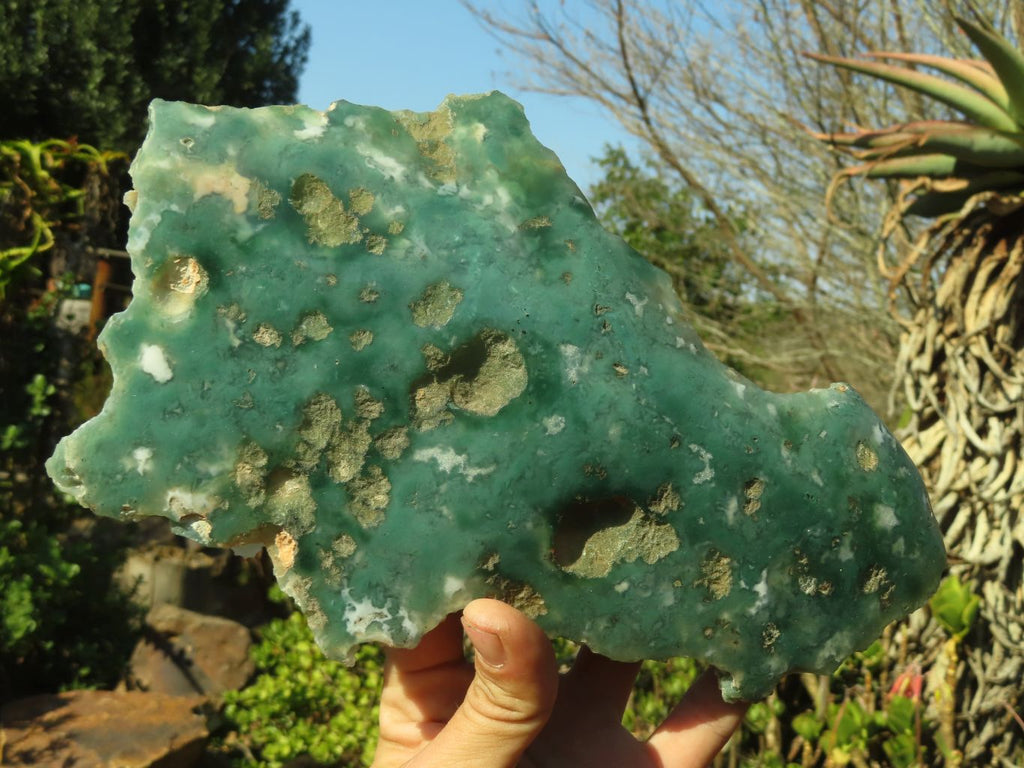Polished One Side Polished Emerald Mtorolite Plates  x 2 From Mutorashanga, Zimbabwe - Toprock Gemstones and Minerals 