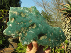 Polished One Side Polished Emerald Mtorolite Plates  x 2 From Mutorashanga, Zimbabwe - Toprock Gemstones and Minerals 