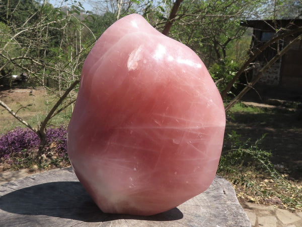 Polished Extra Large Gemmy Pink Rose Quartz Standing Free Form  x 1 From Ambatondrazaka, Madagascar - TopRock