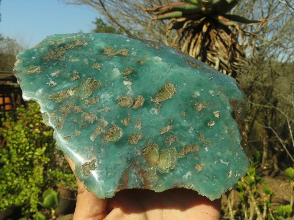 Polished One Side Polished Emerald Mtorolite Plates  x 2 From Mutorashanga, Zimbabwe - Toprock Gemstones and Minerals 