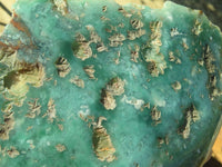 Polished One Side Polished Emerald Mtorolite Plates  x 2 From Mutorashanga, Zimbabwe - Toprock Gemstones and Minerals 