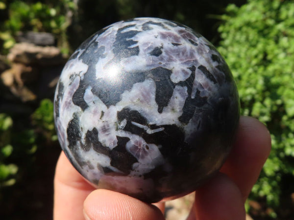 Polished Merlinite Gabbro Spheres  x 6 From Madagascar - Toprock Gemstones and Minerals 