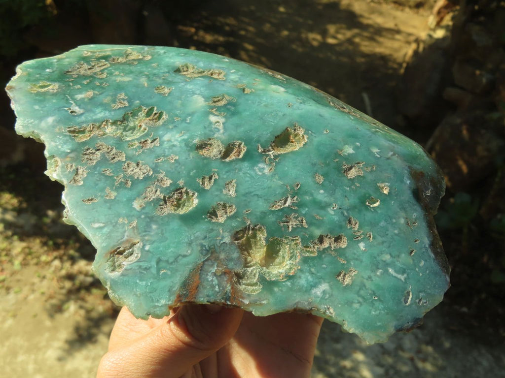 Polished One Side Polished Emerald Mtorolite Plates  x 2 From Mutorashanga, Zimbabwe - Toprock Gemstones and Minerals 