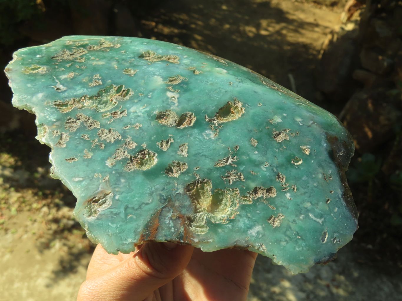 Polished One Side Polished Emerald Mtorolite Plates  x 2 From Mutorashanga, Zimbabwe - Toprock Gemstones and Minerals 