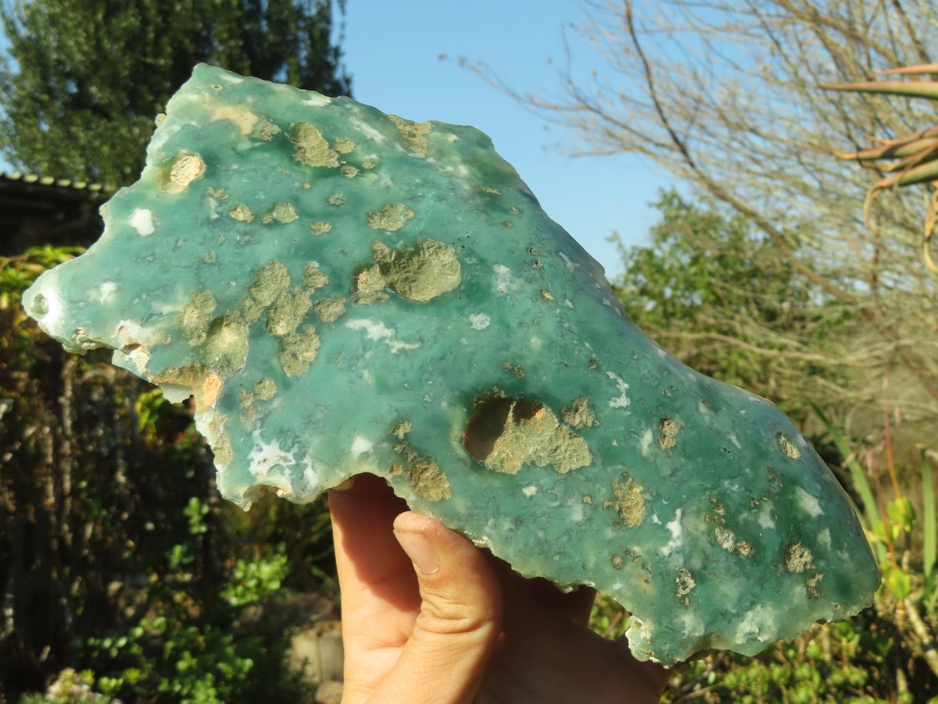 Polished One Side Polished Emerald Mtorolite Plates  x 2 From Mutorashanga, Zimbabwe - Toprock Gemstones and Minerals 