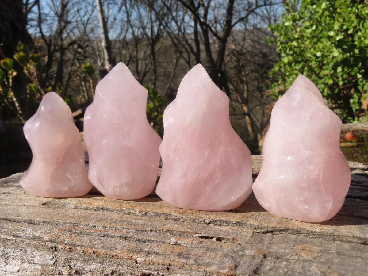 Polished Rose Quartz Flame Sculptures x 4 From Madagascar - Toprock Gemstones and Minerals 