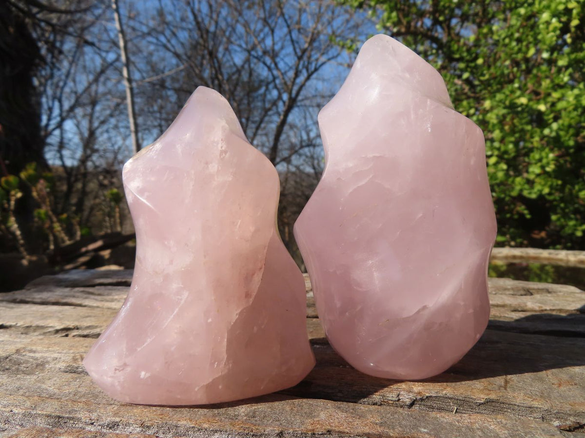 Polished Rose Quartz Flame Sculptures x 4 From Madagascar - Toprock Gemstones and Minerals 