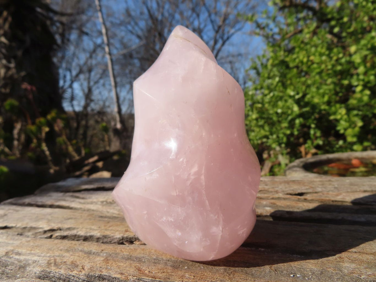 Polished Rose Quartz Flame Sculptures x 4 From Madagascar - Toprock Gemstones and Minerals 