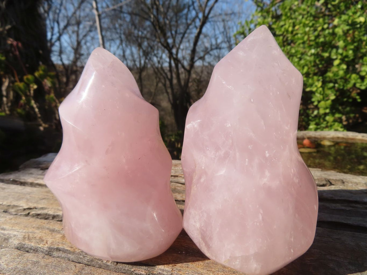 Polished Rose Quartz Flame Sculptures x 4 From Madagascar - Toprock Gemstones and Minerals 