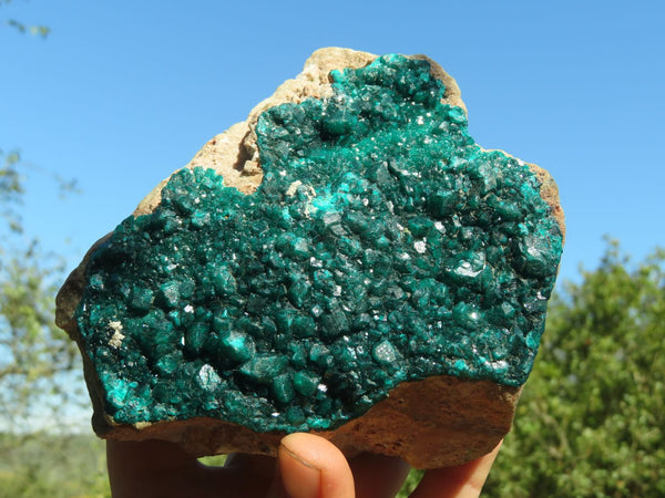 Natural XL Dioptase Specimen On A Custom Metal Stand x 1 From Congo - TopRock