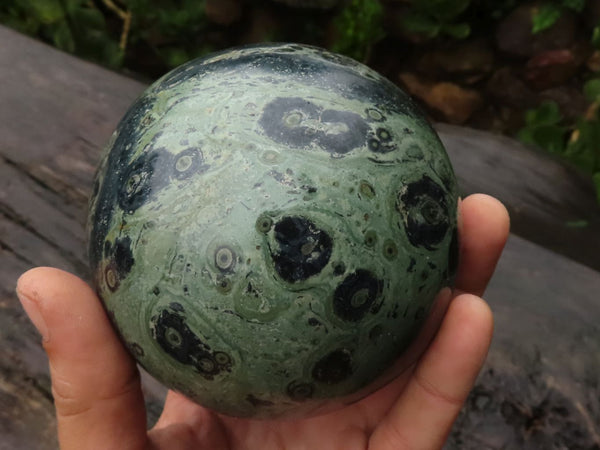 Polished Large Stromatolite / Kambamba Jasper Sphere  x 1 From Katsepy, Madagascar - TopRock