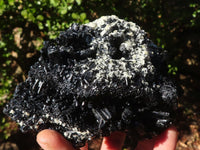Natural Large Schorl Black Tourmaline Specimen x 1 From Erongo, Namibia - Toprock Gemstones and Minerals 