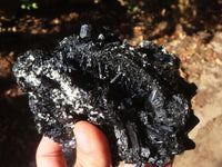 Natural Large Schorl Black Tourmaline Specimen x 1 From Erongo, Namibia - Toprock Gemstones and Minerals 