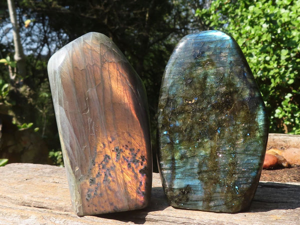 Polished Stunning Pair Of Labradorite Standing Free Forms  x 2 From Madagascar - Toprock Gemstones and Minerals 