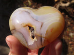 Polished Large Agate Hearts  x 6 From Madagascar - Toprock Gemstones and Minerals 