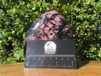 Polished Rhodonite Standing Free Form x 1 From Madagascar - TopRock