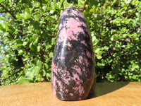 Polished Rhodonite Standing Free Form x 1 From Madagascar - TopRock