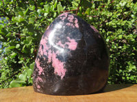 Polished Rhodonite Standing Free Form x 1 From Madagascar - TopRock
