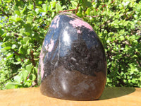 Polished Rhodonite Standing Free Form x 1 From Madagascar - TopRock