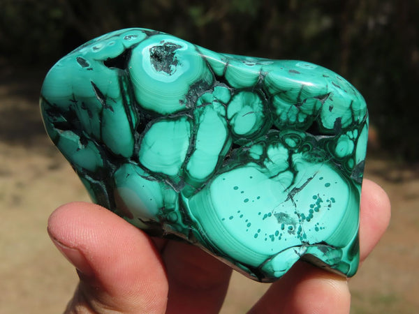 Polished Malachite Free Forms With Nice Flower Patterns x 6 From Congo - TopRock