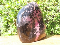 Polished Rhodonite Standing Free Form x 1 From Madagascar - TopRock