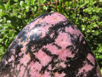 Polished Rhodonite Standing Free Form x 1 From Madagascar - TopRock