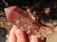 Natural Red Hematoid Quartz Crystals x 12 From Karoi, Zimbabwe - Toprock Gemstones and Minerals 