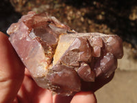 Natural Red Hematoid Quartz Crystals x 12 From Karoi, Zimbabwe - Toprock Gemstones and Minerals 