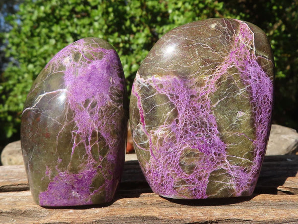 Polished Stichtite & Serpentine Standing Free Forms With Silky Purple Threads  x 6 From Barberton, South Africa - Toprock Gemstones and Minerals 
