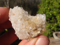 Natural Spirit Quartz Crystals x 144 From Boekenhouthoek, South Africa - Toprock Gemstones and Minerals 