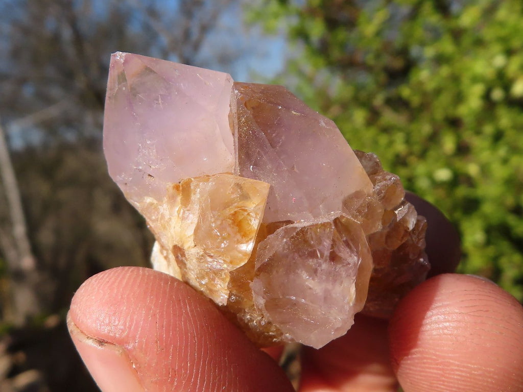 Natural Spirit Quartz Crystals x 144 From Boekenhouthoek, South Africa - Toprock Gemstones and Minerals 