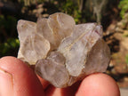 Natural Spirit Quartz Crystals x 144 From Boekenhouthoek, South Africa - Toprock Gemstones and Minerals 